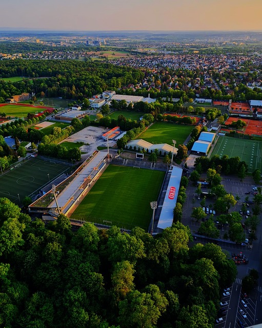 斯的身体对 斯的身体对