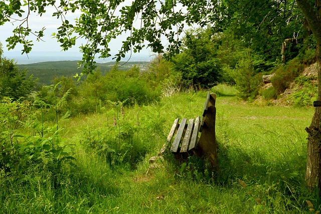 直接导致了 直接导致了